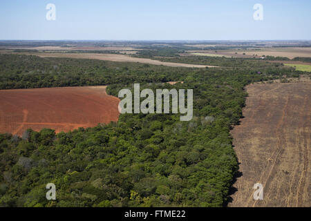 Aerial view of deforested area of cerrado for agriculture in rural ...
