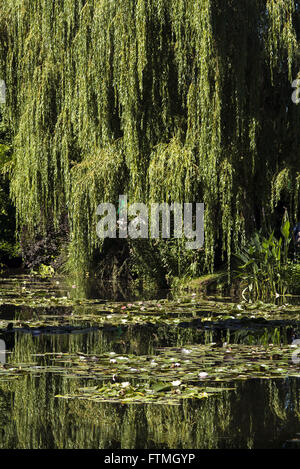 Claude Monet Water Lilies of the garden in the village of Giverny - Upper Normandy Stock Photo