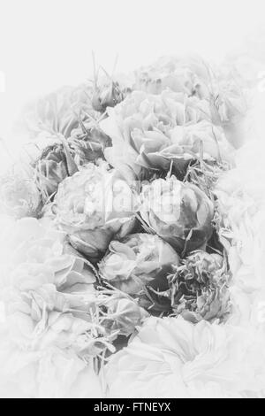 Image of vintage, nostalgic roses bouquet. Stock Photo