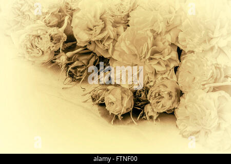 Image of black and white vintage roses Stock Photo