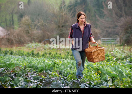 Lori de Mori woofing (volunteering/learning) at Cusgarne Organic Farm,Cornwall (WWOOF,World Wide Opportunities on Organic Farms) Stock Photo