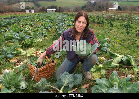 Lori de Mori woofing (volunteering/learning) at Cusgarne Organic Farm,Cornwall (WWOOF,World Wide Opportunities on Organic Farms) Stock Photo