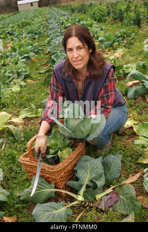 Lori de Mori woofing (volunteering/learning) at Cusgarne Organic Farm,Cornwall (WWOOF,World Wide Opportunities on Organic Farms) Stock Photo