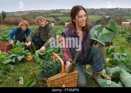 Lori de Mori woofing (volunteering/learning) at Cusgarne Organic Farm,Cornwall (WWOOF,World Wide Opportunities on Organic Farms) Stock Photo