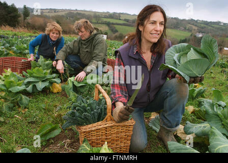 Lori de Mori woofing (volunteering/learning) at Cusgarne Organic Farm,Cornwall (WWOOF,World Wide Opportunities on Organic Farms) Stock Photo