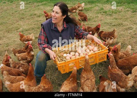 Lori de Mori woofing (volunteering/learning) at Cusgarne Organic Farm,Cornwall (WWOOF,World Wide Opportunities on Organic Farms) Stock Photo