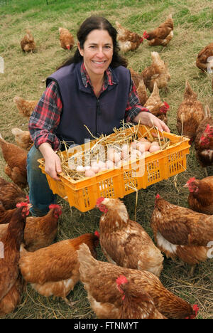 Lori de Mori woofing (volunteering/learning) at Cusgarne Organic Farm,Cornwall (WWOOF,World Wide Opportunities on Organic Farms) Stock Photo