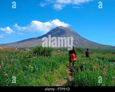 Volcanologist walk through wildflowers fields around the cone of the Augustine volcano on Augustine Island in the lower Cook Inlet August 19, 2006 in Alaska. Stock Photo