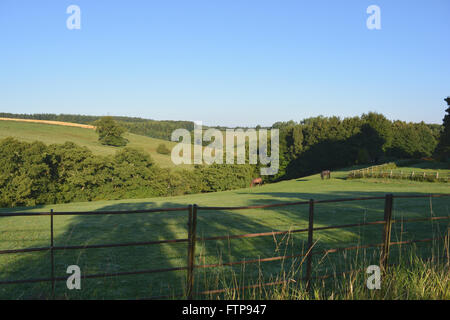 Early morning view over the Howardian Hills near village of Gilling East in late summer. Ryedale district, N.Yorkshire, England Stock Photo