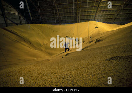 Soybeans stored in silo cooperative city Stock Photo