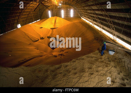 Soybeans stored in silo cooperative city Stock Photo