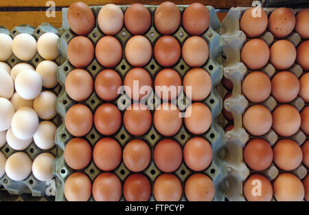 Chicken eggs sold on the Pacaembu Fair in Praca Charles Miller Stock Photo