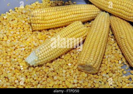 Ears of corn for production of mush Stock Photo