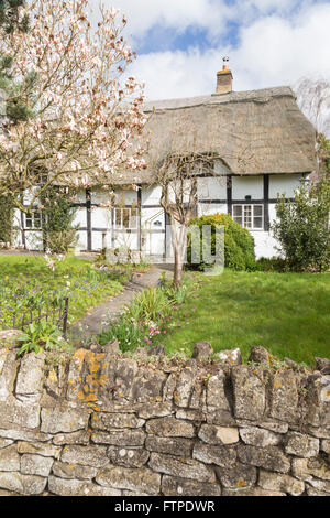 Thatched timber-framed cottage, Worcestershire, England, UK Stock Photo