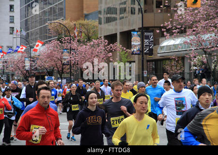 VANCOUVER, CANADA - April 21, 2013 - Racers in the yelllow group of the 2013 Vancouver Sun Run run from the starting line in Van Stock Photo