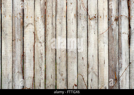 Distress Wooden Planks Stock Photo