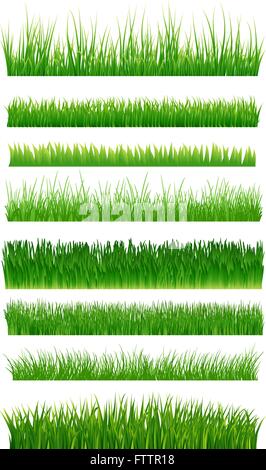 Green grass borders collection over white. Vector illustration Stock Vector
