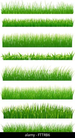 Green grass borders set on white. Vector illustration Stock Vector