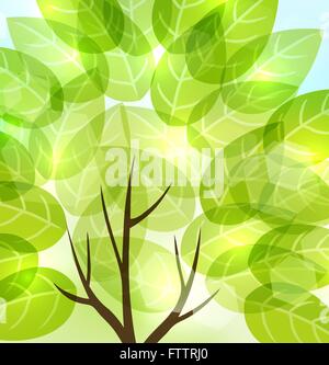 abstract background with transparent leaves and light shining through. vector Stock Vector