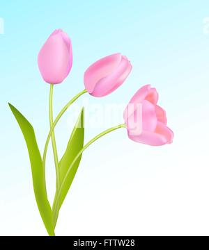 Soft pink tulips on light blue sky spring background. Vector Stock Vector