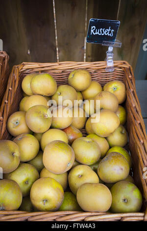 Basket of Russet apples for sale in a Farm Shop in UK Stock Photo