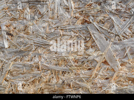 Background detail of recycled wood panel. Stock Photo