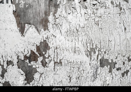 Peeling white paint grunge background. Stock Photo