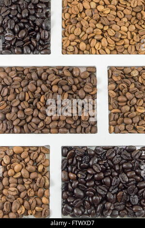 different types of coffee grains in white container shot flat Stock Photo