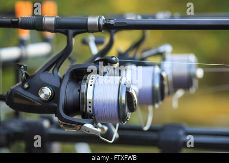 Spinning rods on a professional fishing rod stand outdoors Stock Photo -  Alamy