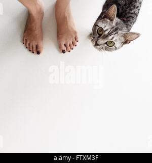 Low section of a woman standing next to a cat Stock Photo
