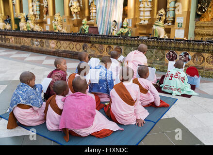 Group of nuns in pink robes pray at Shwedagon Pagoda, Yangon (Rangoon), Myanmar (Burma) Stock Photo