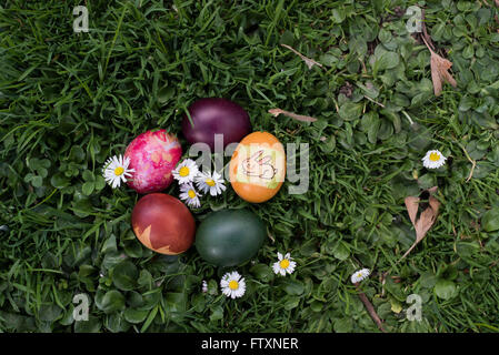 Overhead view of easter eggs in a circle on grass Stock Photo