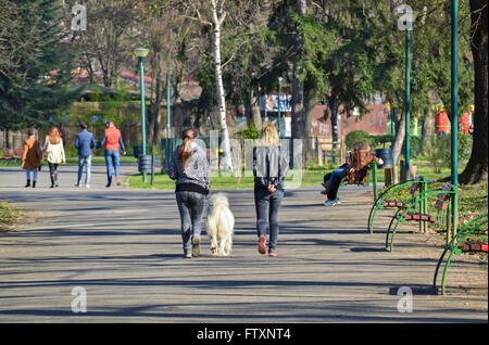 Two girls walking in the city park with white dog in a sunny day Stock Photo