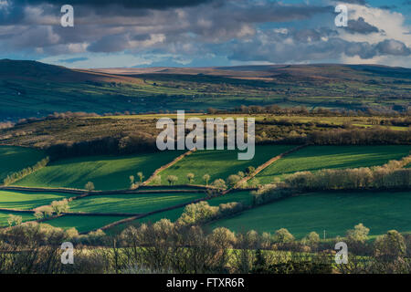 Panoramic landscape, rolling hills and cloudy sky. View from hill top,long shadows at sunset. Stock Photo