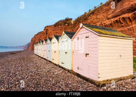Beach hut row in pastel colors, red rock cliff background, South Devon, UK Stock Photo