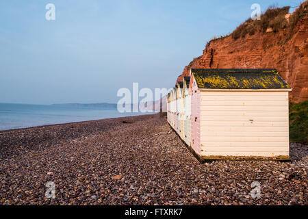 Beach hut row in pastel colors, red rock cliff background, South Devon, UK Stock Photo