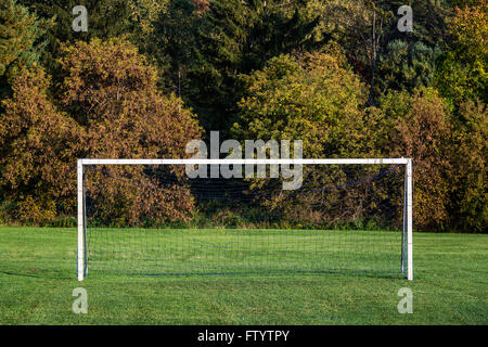 Soccer field and goal. Stock Photo