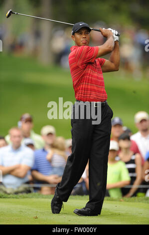 August 16, 2009 - Chaska, MN, UNITED STATES - Tiger Woods during final round of the 2009 PGA Championship at Hazeltine National Golf Club on Aug 16, 2009 in Chaska, MN...ZUMA Press/Scott A. Miller (Credit Image: © Scott A. Miller via ZUMA Wire) Stock Photo