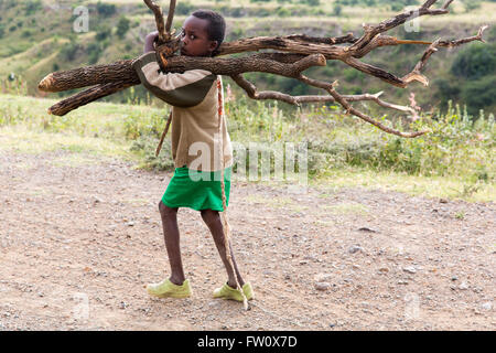 Alutu Ridge, Lake Langano, Ethiopia, October 2013 Abdu Raman, 8, and his younger brother carries wood for people cutting timber illegally in the forest. He does this every afternoon after school. Stock Photo