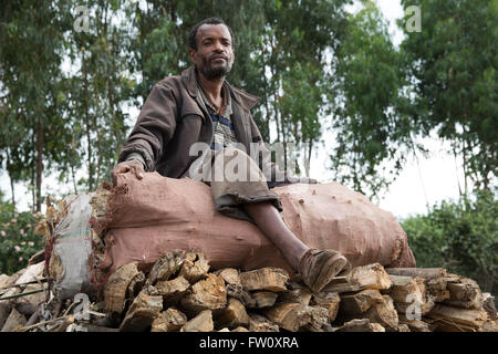 Meki River delta, Ziway, Ethiopia, October 2013 Shambal Dembel, 39, carrying firewood to market for sale. Stock Photo