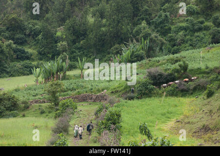 North Shewa,  Ethiopia, October 2013: Traders bring supplies to villages in the next valley. Stock Photo