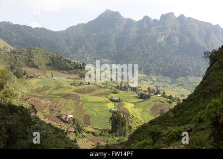 Ankober Woring Mesche Kebele, North Shewa,  Ethiopia, October 2013: View of Mescha village from the path out of the valley. Stock Photo