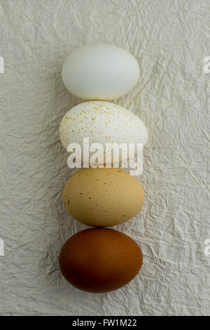 Different colored eggs in natural colors Stock Photo
