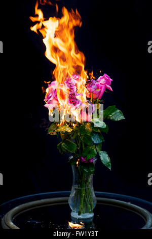 It's over!  Bouquet of pink roses in vase on fire for concept of ending a relationship Stock Photo