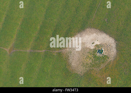 Meuse (55), Azannes, trace d'un cratere d'obus de la premiere guerre mondiale (vue aerienne) // France, Meuse (55), Azannes, WWI Stock Photo