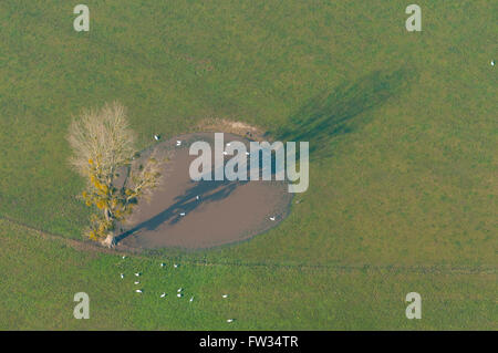 Meuse (55), Azannes, trace d'un cratere d'obus de la premiere guerre mondiale (vue aerienne) // France, Meuse (55), Azannes, WWI Stock Photo