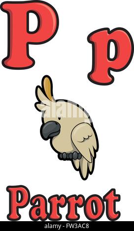 Illustration of a letter P is for parrot Stock Vector Image & Art - Alamy