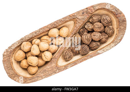 English and black walnuts in a mango wood split tray with bark edges, isolated on white, top view Stock Photo
