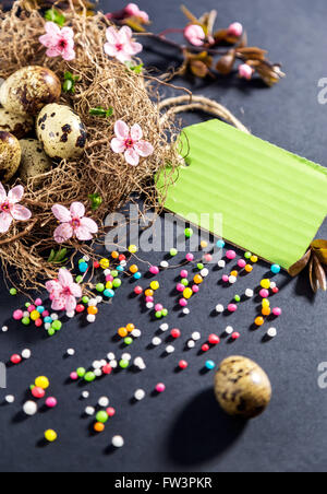 Easter decorations.Eggs in nest with spring flowers Stock Photo