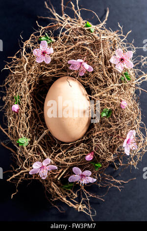 Single egg on nest with spring flowers Stock Photo